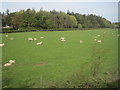 View from a Newcastle-Edinburgh train - farmland near Brunton