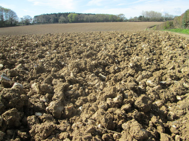 Ploughed field near to Field End Grange