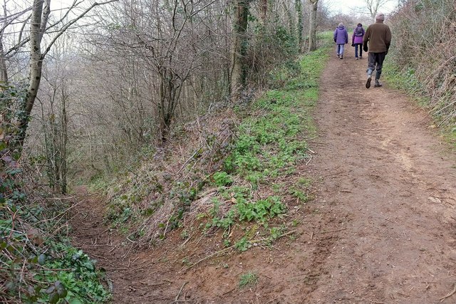 Paths on Ham Hill