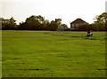 Warm evening on the common