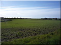 Crop field off Nova Scotia Road