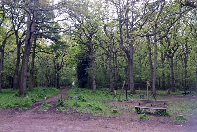 Playground in the woods