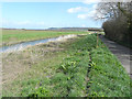 Footpath beside Stathe Road