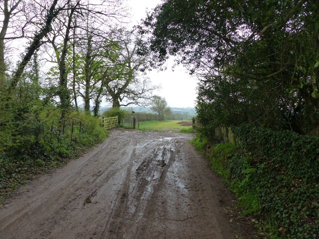 Longster Trail at Great Barrow
