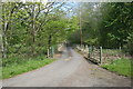 Road to Eglinton Park Farm