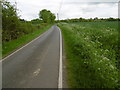 Lane to Pledgdon Green