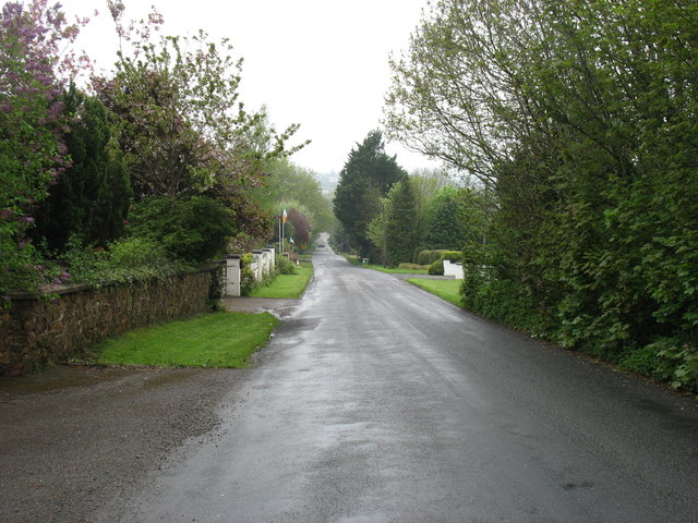 Minor road heading for Enniscorthy