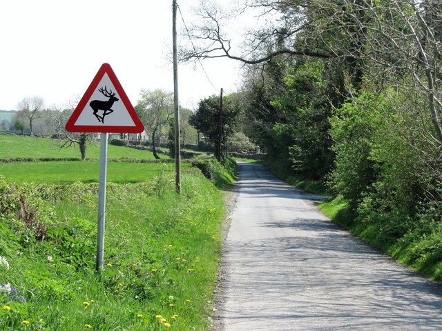 Deer Road Sign on the Tannaghmore Road... © Eric Jones :: Geograph Ireland