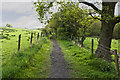 Footpath to Hag Wood