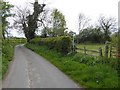 Footpath either side of the lane