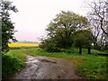 Kilham Lane and Adjoining Fields