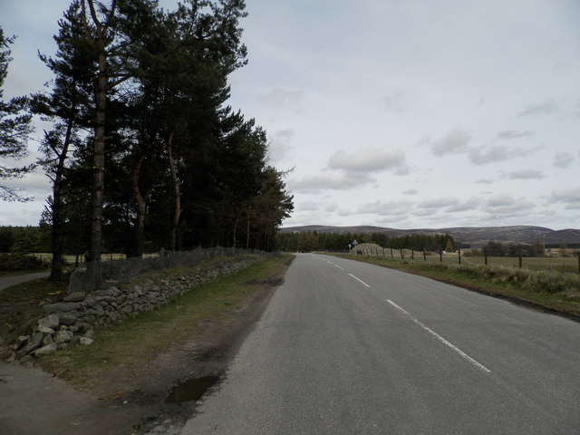 Minor road at Tomatin