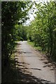 Cycle Path to Harold Park