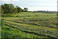 Farmland near Milton