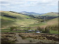 NS9221 : Hill track above Glencaple by Alan O'Dowd