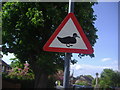 Beware of the duck sign, London Road, Shenley