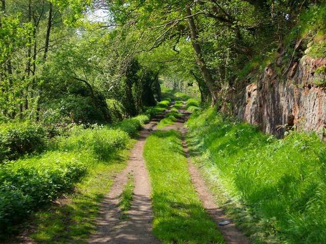 Path (between Yew Tree farm and Wordsley)