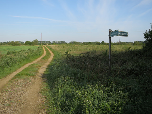 Track from Paxton Pits