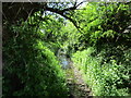 Beck near the railway