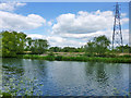 Rye House Marsh