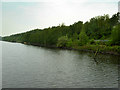 Manchester Ship Canal, Wigg Island