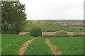 Looking to Cornard Mere Nature Reserve