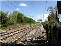 TL6600 : Railway Tracks at Church Lane, Margaretting by PAUL FARMER