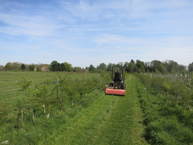 Mowing the Footpath