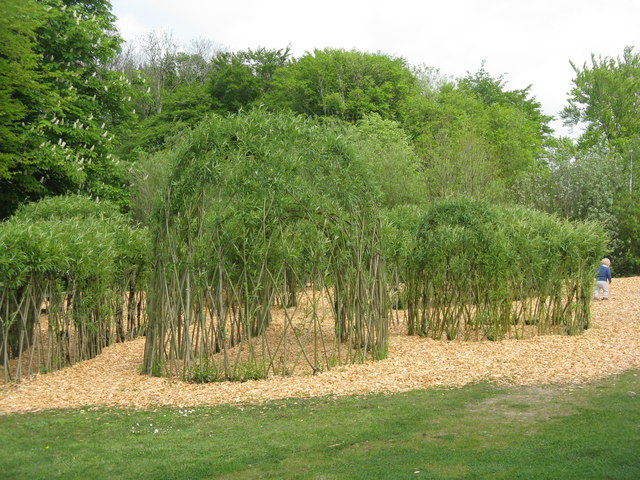 Living willow structures at NBGW