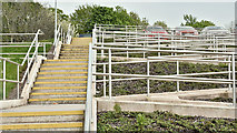J3978 : Steps and ramps, Spafields, Holywood (May 2016) by Albert Bridge