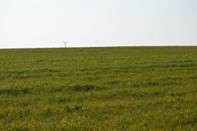 grassland-chartham-downs-n-chadwick-cc-by-sa-2-0-geograph-britain