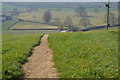 Footpath, Chartham Downs