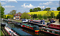 Moored narrowboats in Ashwood Marina, Staffordshire