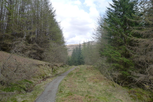 The West Highland Way through Ewich Forest