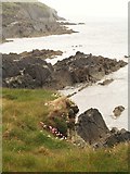 W3331 : Rocky shoreline at Dundeady by Gordon Hatton