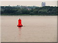 SJ3584 : Red Navigation Buoy E2, Eastham Channel by David Dixon