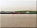 SJ3584 : Mersey Wharf, Bromborough by David Dixon