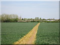 Path to Bampton