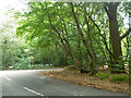 Junction of Beamont Road with Park Lane Paradise