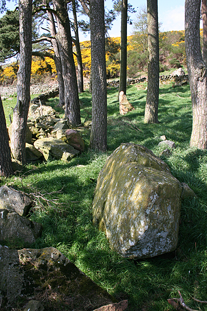 Balnacraig Recumbent Stone Circle (2)