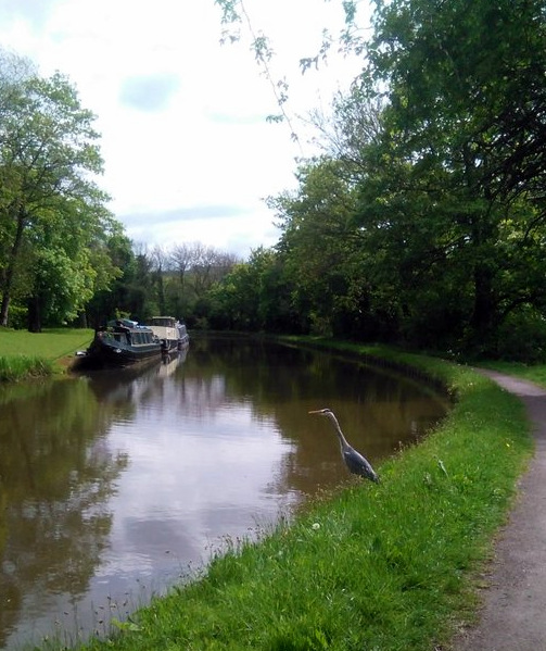 Fishing on the Leeds Liverpool canal
