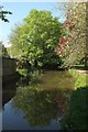 Mill leat, Cullompton