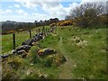 Path beside a dry-stone wall