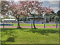 Longford Park Athletics Stadium