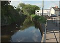 Mill leat, Cullompton