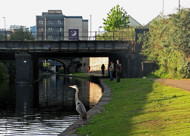 A jogger, a cyclist, anglers and a heron