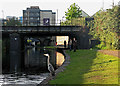 A jogger, a cyclist, anglers and a heron