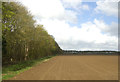 Field beside woodland near Salhouse