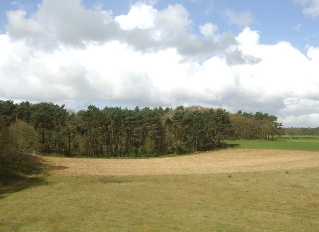 Farmland towards Oak Wood