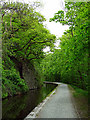 The Llangollen Canal looking east